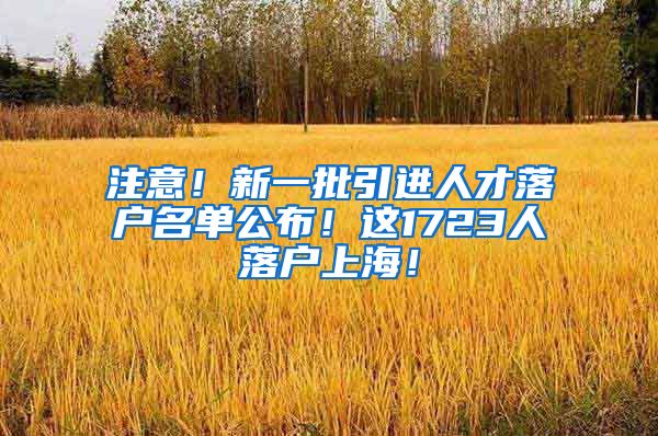 注意！新一批引进人才落户名单公布！这1723人落户上海！