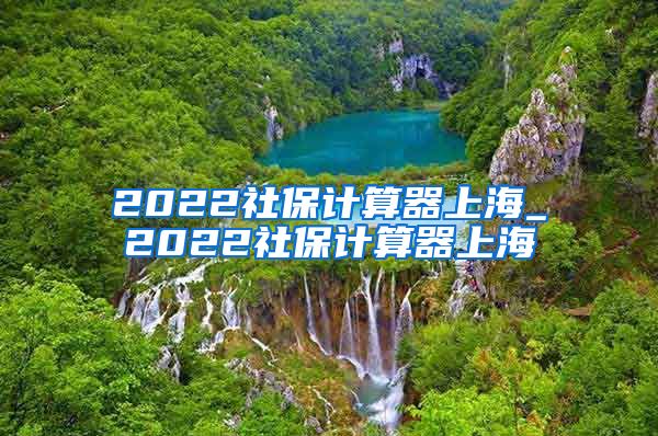 2022社保计算器上海_2022社保计算器上海