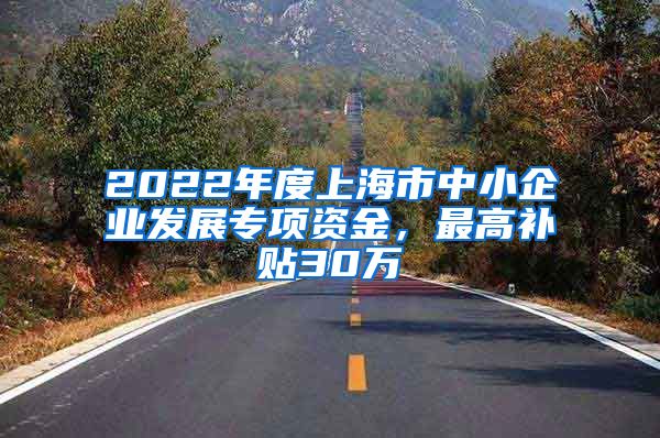 2022年度上海市中小企业发展专项资金，最高补贴30万