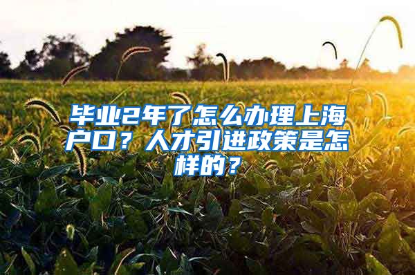 毕业2年了怎么办理上海户口？人才引进政策是怎样的？