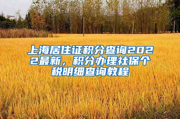 上海居住证积分查询2022最新，积分办理社保个税明细查询教程