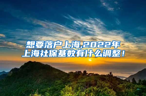 想要落户上海,2022年上海社保基数有什么调整！