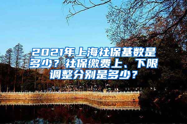 2021年上海社保基数是多少？社保缴费上、下限调整分别是多少？