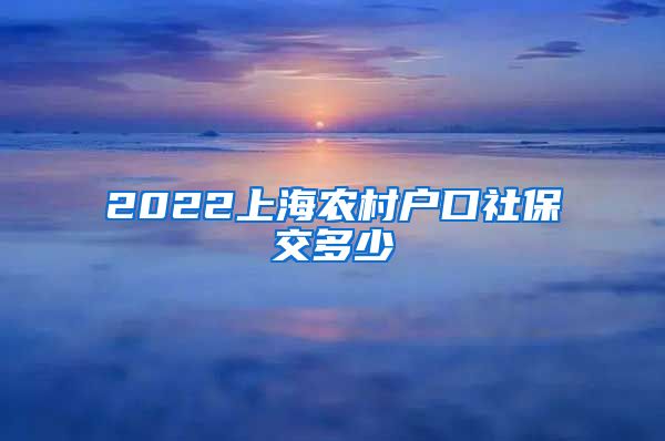 2022上海农村户口社保交多少