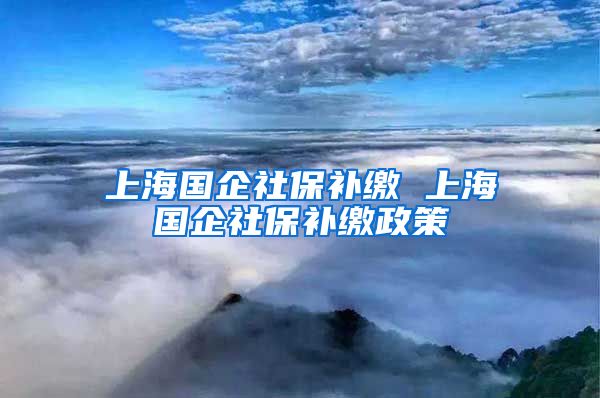 上海国企社保补缴 上海国企社保补缴政策