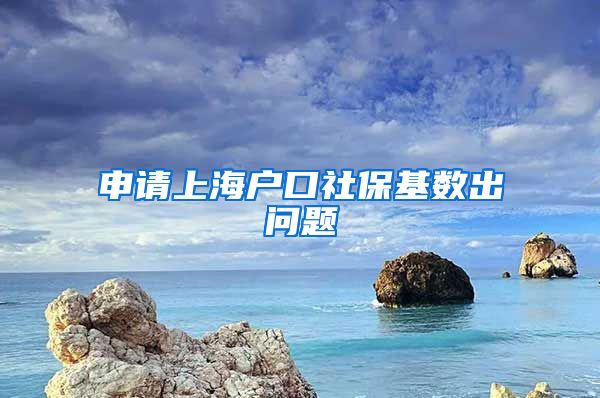 申请上海户口社保基数出问题