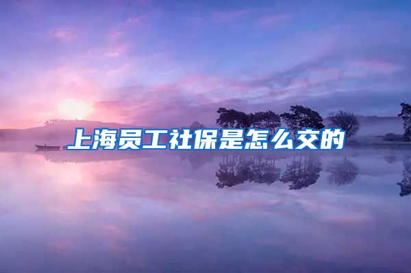 上海员工社保是怎么交的