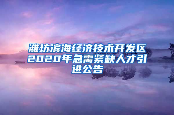 潍坊滨海经济技术开发区2020年急需紧缺人才引进公告