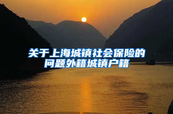 关于上海城镇社会保险的问题外籍城镇户籍