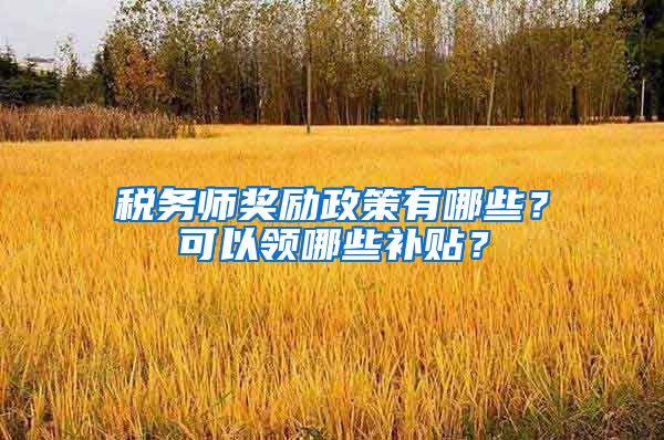 税务师奖励政策有哪些？可以领哪些补贴？