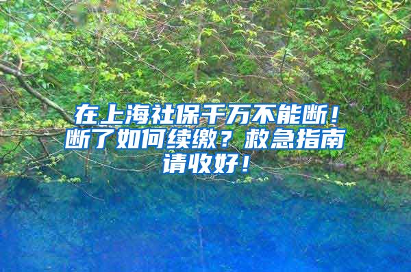 在上海社保千万不能断！断了如何续缴？救急指南请收好！