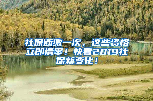 社保断缴一次，这些资格立即清零！快看2019社保新变化！