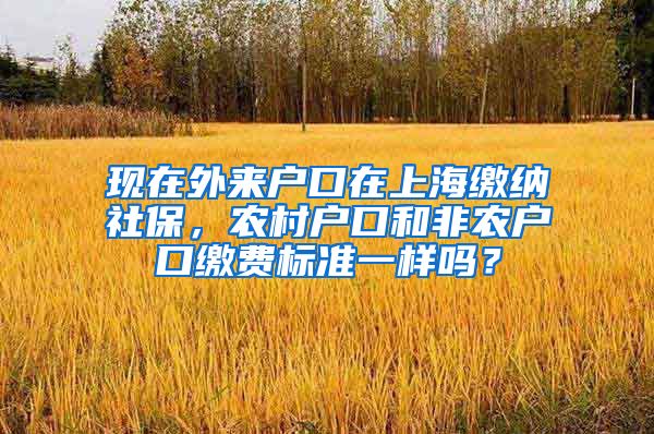 现在外来户口在上海缴纳社保，农村户口和非农户口缴费标准一样吗？