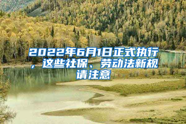 2022年6月1日正式执行，这些社保、劳动法新规请注意