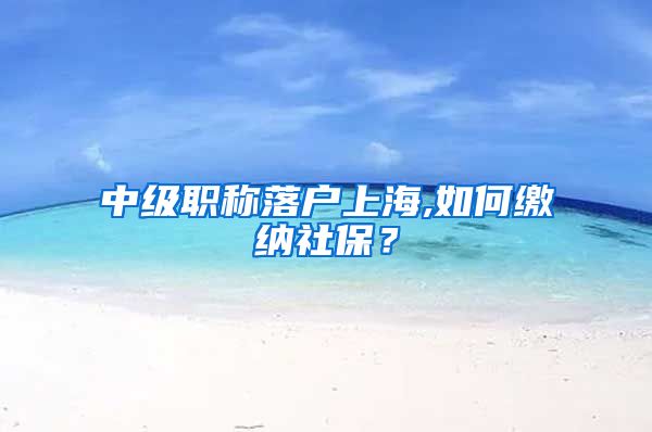 中级职称落户上海,如何缴纳社保？