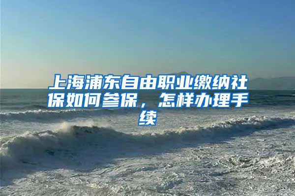 上海浦东自由职业缴纳社保如何参保，怎样办理手续