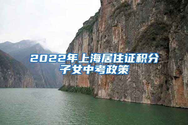 2022年上海居住证积分子女中考政策