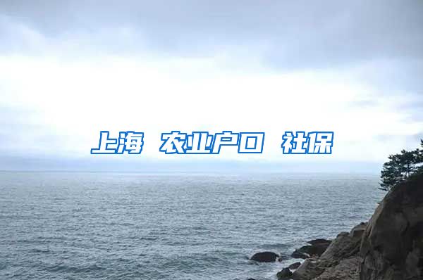 上海 农业户口 社保