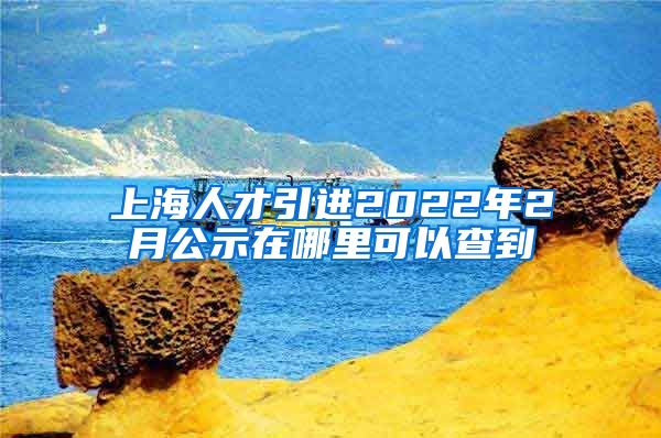 上海人才引进2022年2月公示在哪里可以查到
