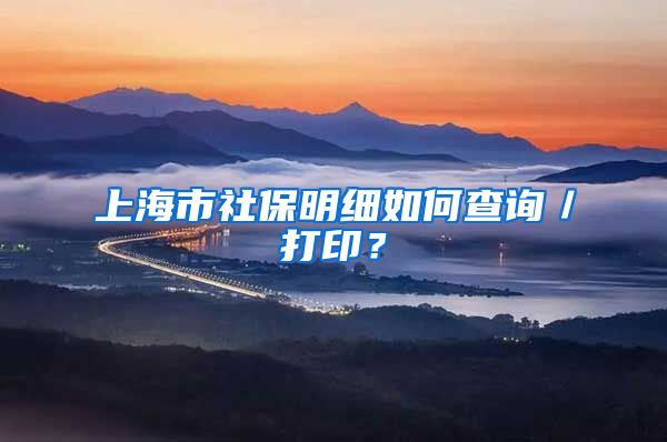 上海市社保明细如何查询／打印？