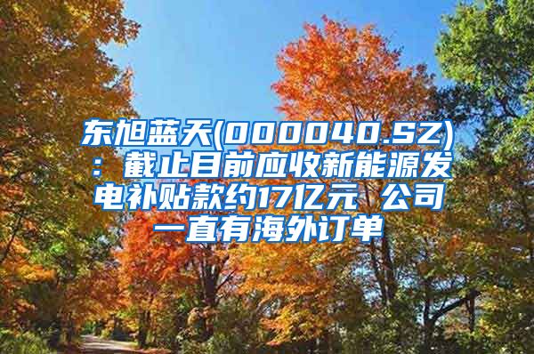 东旭蓝天(000040.SZ)：截止目前应收新能源发电补贴款约17亿元 公司一直有海外订单