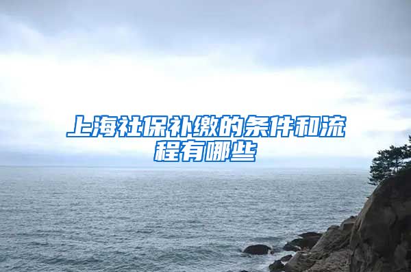 上海社保补缴的条件和流程有哪些