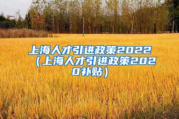 上海人才引进政策2022（上海人才引进政策2020补贴）