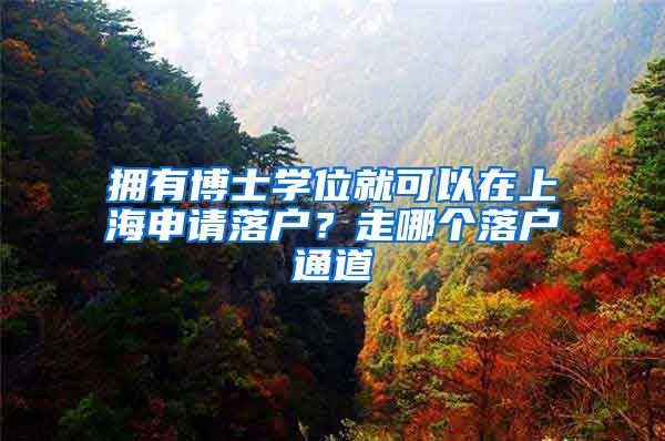 拥有博士学位就可以在上海申请落户？走哪个落户通道