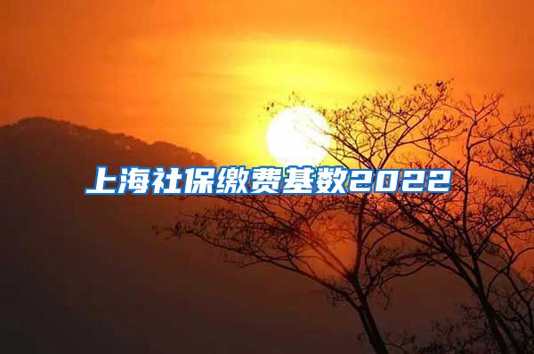 上海社保缴费基数2022