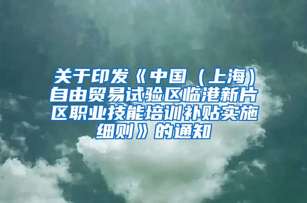 关于印发《中国（上海）自由贸易试验区临港新片区职业技能培训补贴实施细则》的通知