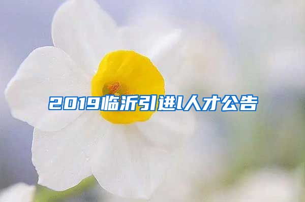 2019临沂引进l人才公告