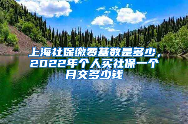 上海社保缴费基数是多少，2022年个人买社保一个月交多少钱