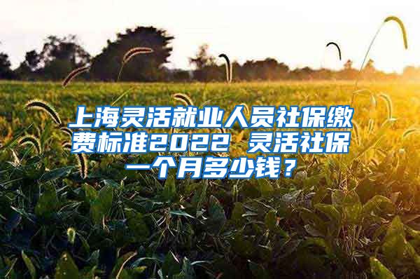 上海灵活就业人员社保缴费标准2022 灵活社保一个月多少钱？