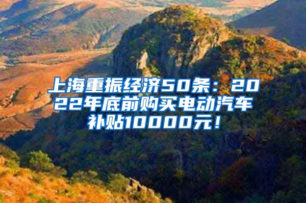 上海重振经济50条：2022年底前购买电动汽车补贴10000元！