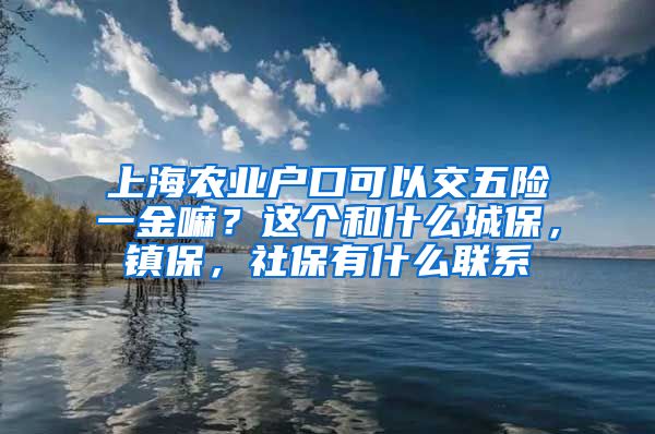 上海农业户口可以交五险一金嘛？这个和什么城保，镇保，社保有什么联系