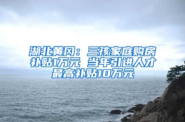 湖北黄冈：三孩家庭购房补贴1万元 当年引进人才最高补贴10万元