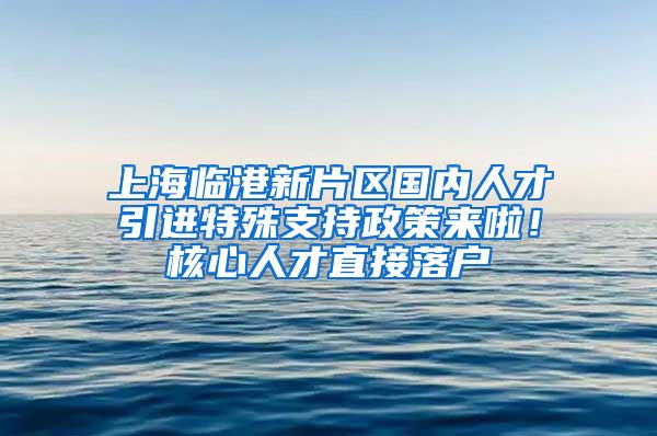 上海临港新片区国内人才引进特殊支持政策来啦！核心人才直接落户