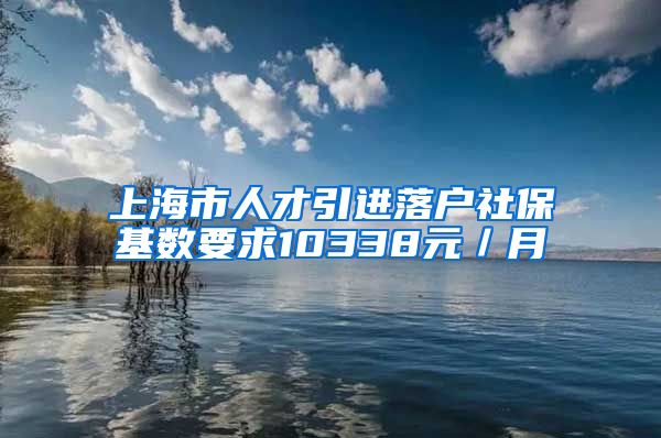 上海市人才引进落户社保基数要求10338元／月