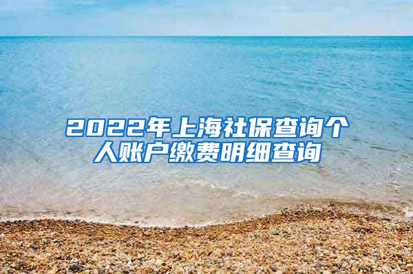 2022年上海社保查询个人账户缴费明细查询