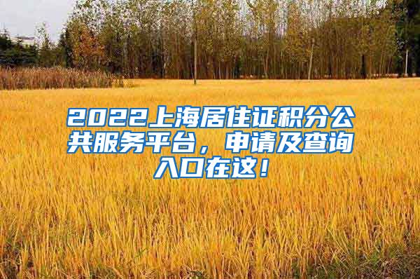 2022上海居住证积分公共服务平台，申请及查询入口在这！