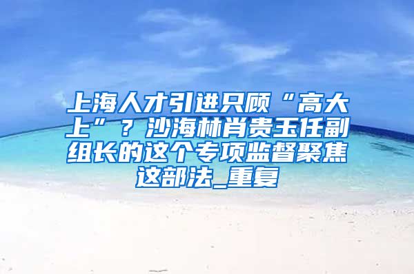 上海人才引进只顾“高大上”？沙海林肖贵玉任副组长的这个专项监督聚焦这部法_重复