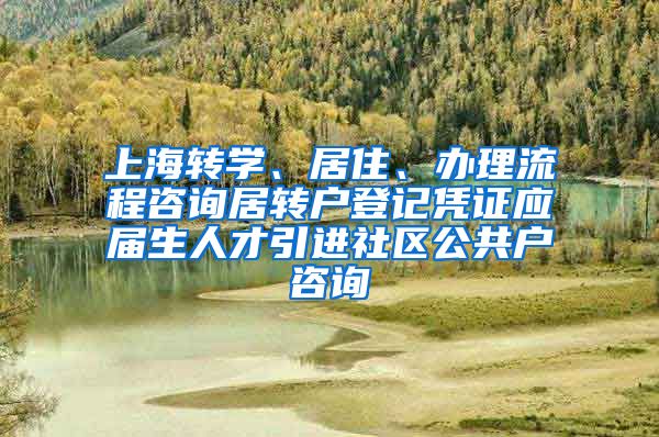 上海转学、居住、办理流程咨询居转户登记凭证应届生人才引进社区公共户咨询