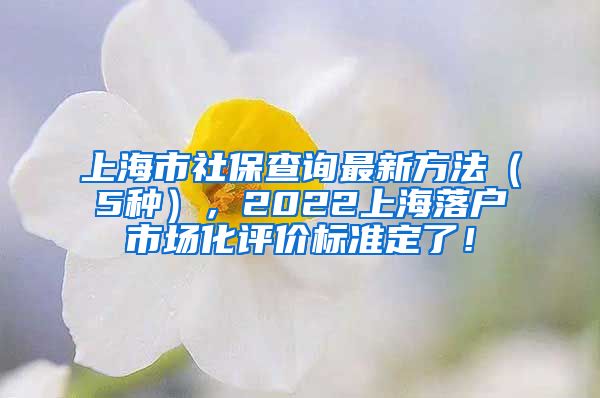 上海市社保查询最新方法（5种），2022上海落户市场化评价标准定了！