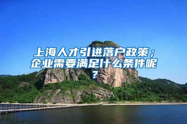 上海人才引进落户政策；企业需要满足什么条件呢？