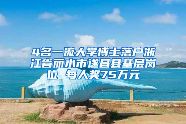 4名一流大学博士落户浙江省丽水市遂昌县基层岗位 每人奖75万元