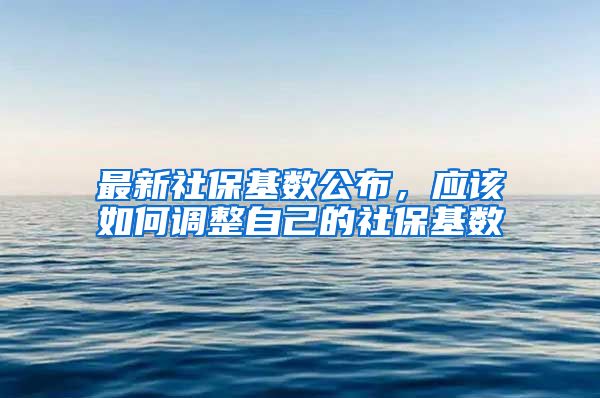 最新社保基数公布，应该如何调整自己的社保基数