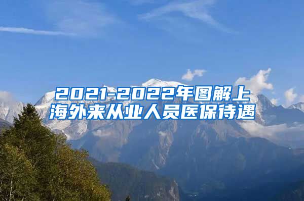 2021-2022年图解上海外来从业人员医保待遇