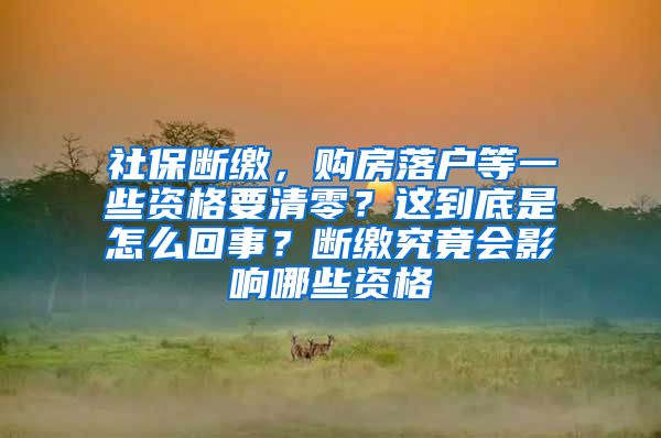 社保断缴，购房落户等一些资格要清零？这到底是怎么回事？断缴究竟会影响哪些资格