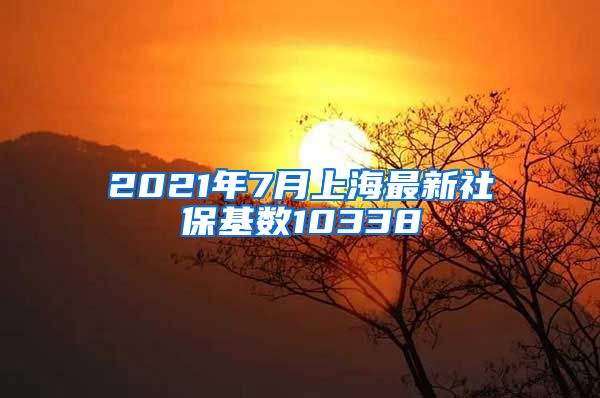 2021年7月上海最新社保基数10338