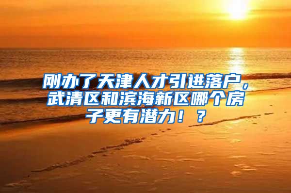 刚办了天津人才引进落户，武清区和滨海新区哪个房子更有潜力！？